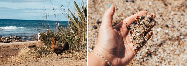 a chicken walking on the beach, and Brittany holding some of the glass sand from Glass Beach in Kauai Hawaii