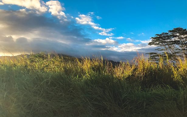 Scenic grass and mountains as we drive around Kauai island Hawaii