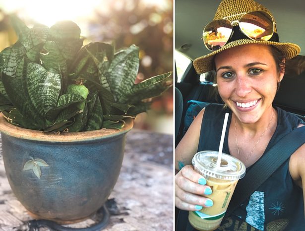 a beautiful potted plant at our Air BNB, and Brittany in the car after getting an iced locally brewed coffee