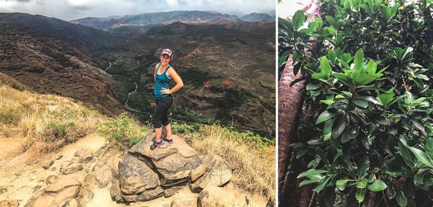 brittany posing on a rock with a valley behind her, and pretty green foliage from Kauai Hawaii